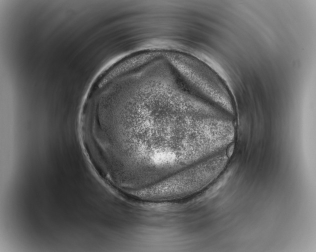 X0000093211045200710171338