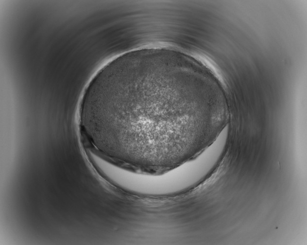 X0000093211046200710171338