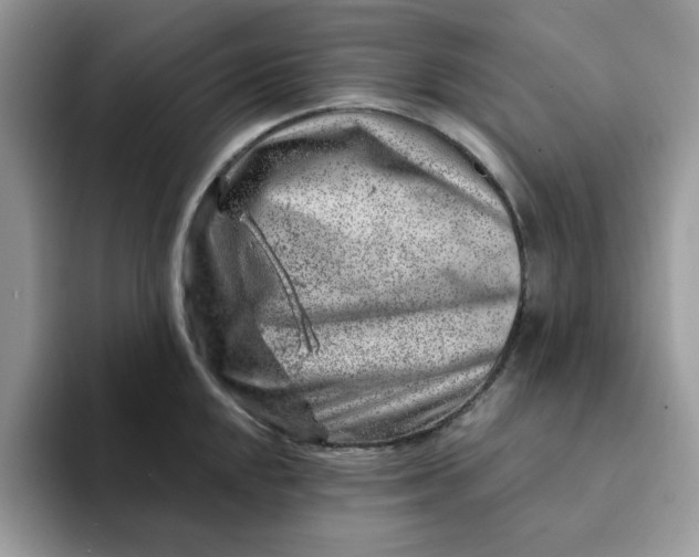 X0000093211048200710171338