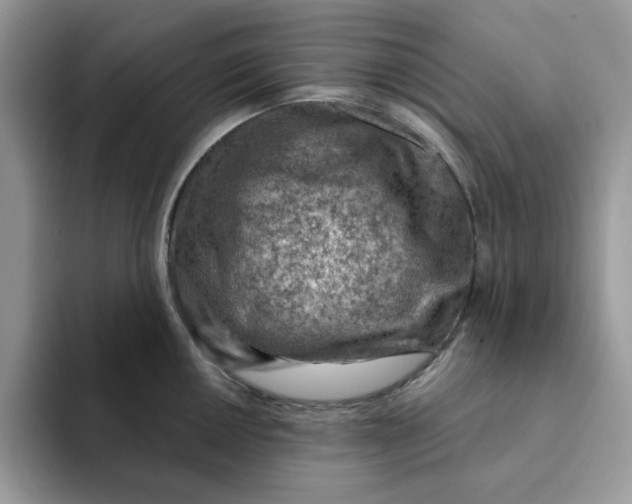 X0000093211050200710171338