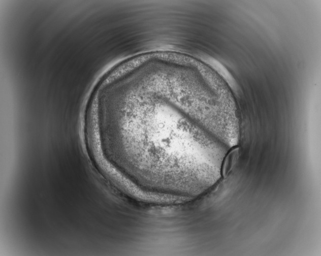 X0000093211051200710171338