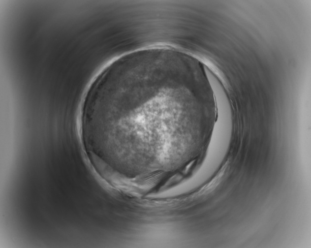 X0000093211054200710171338