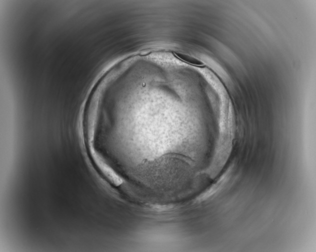 X0000093211055200710171338