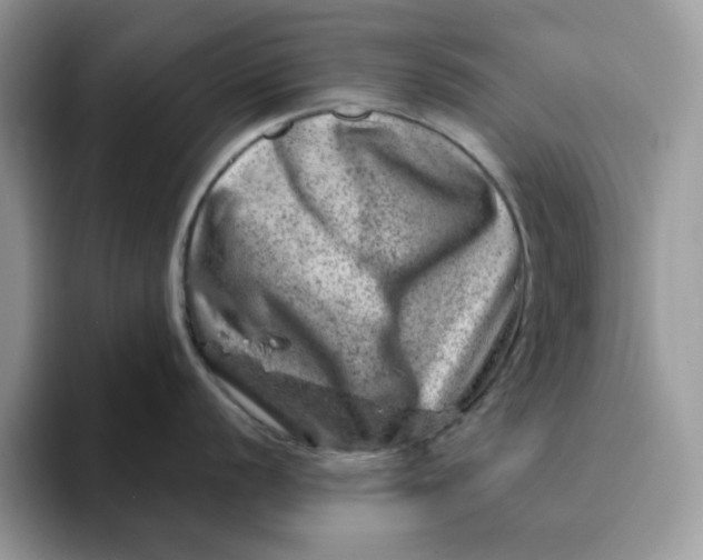 X0000093211056200710171338