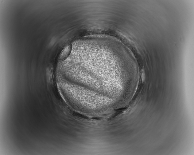 X0000093211059200710171337