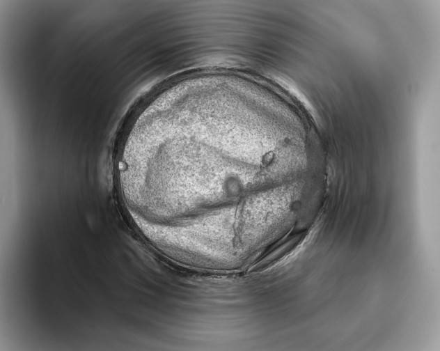 X0000093211067200710171337