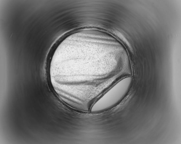 X0000093211068200710171337