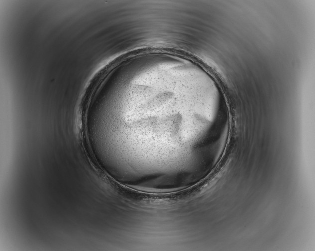 X0000093211070200710171337