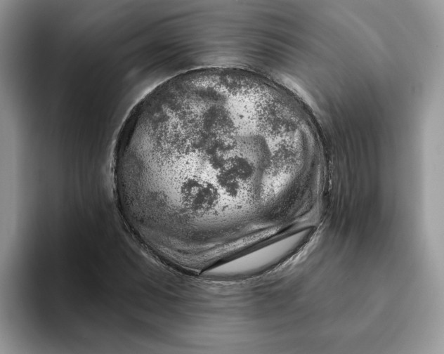 X0000093211071200710171337