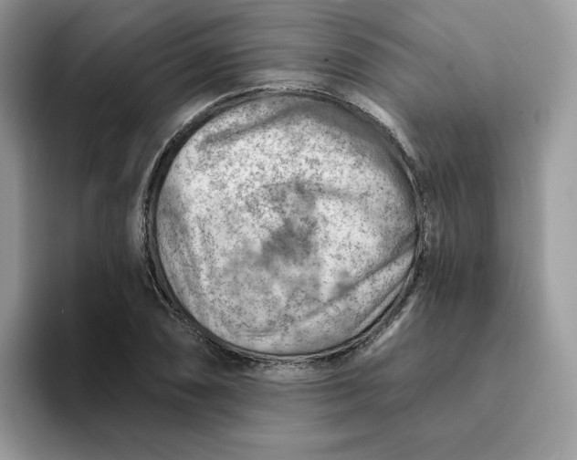 X0000093211074200710171337