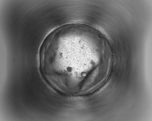 X0000093211079200710171337