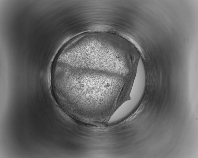 X0000093211083200710171337