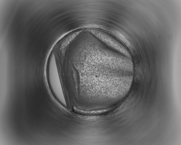 X0000093211084200710171337