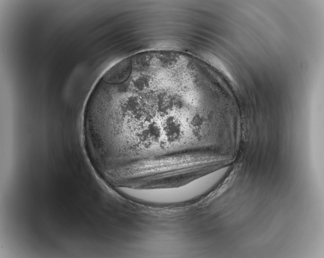 X0000093211087200710171337