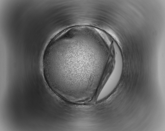 X0000093211088200710171337