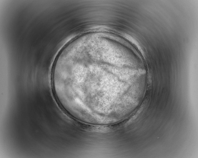 X0000093211090200710171337