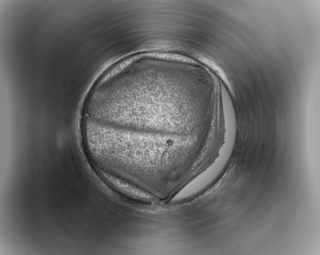 X0000093211091200710171337