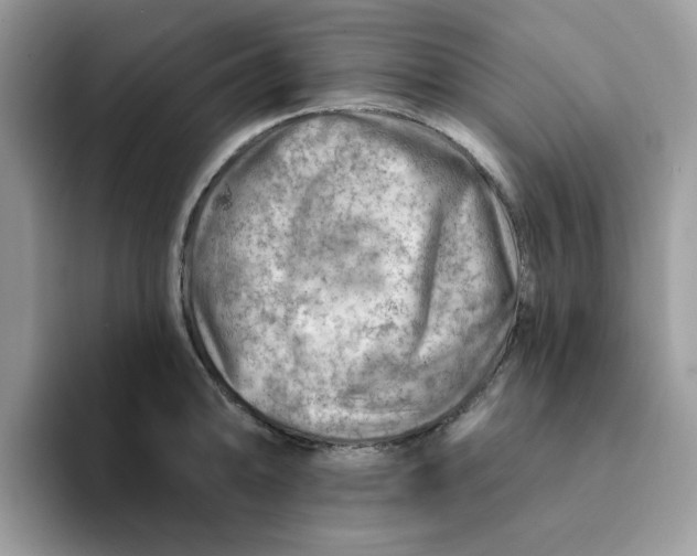 X0000093211094200710171337