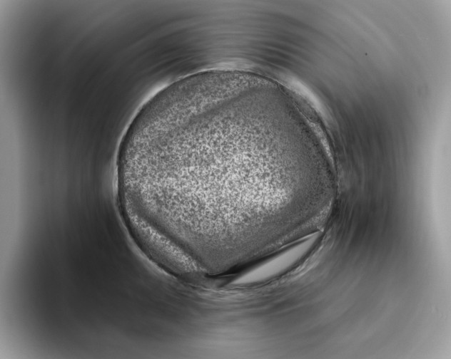 X0000093211095200710171337