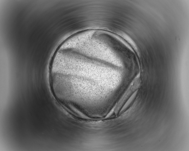 X0000093211096200710171337