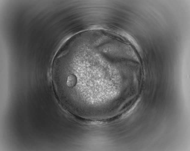 X0000093211097200710171337