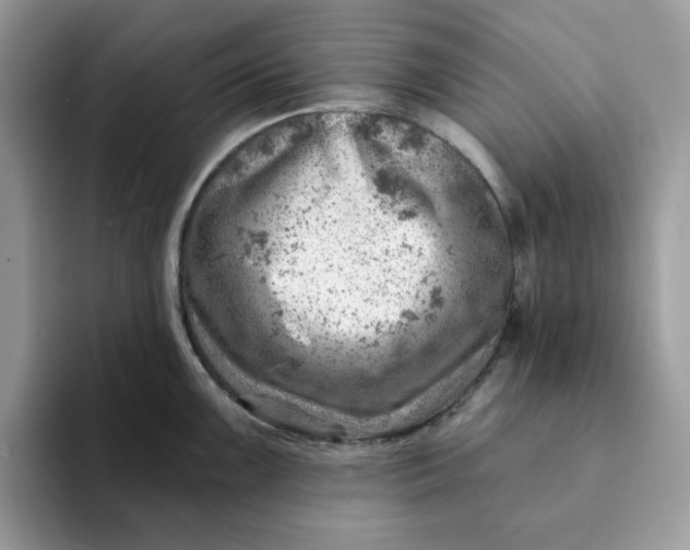 X0000093211099200710171337