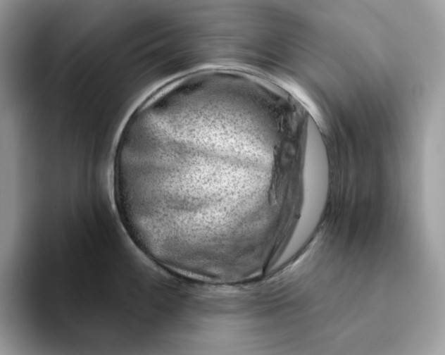 X0000093211100200710171337