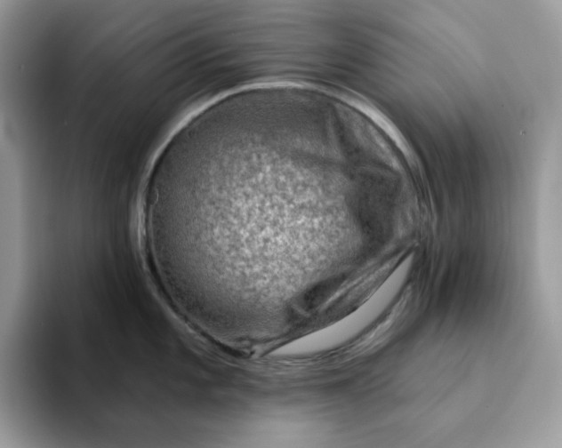 X0000093211101200710171337