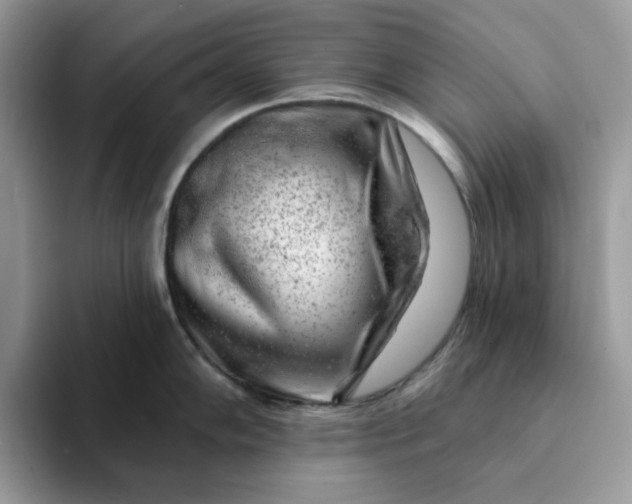 X0000093211102200710171337