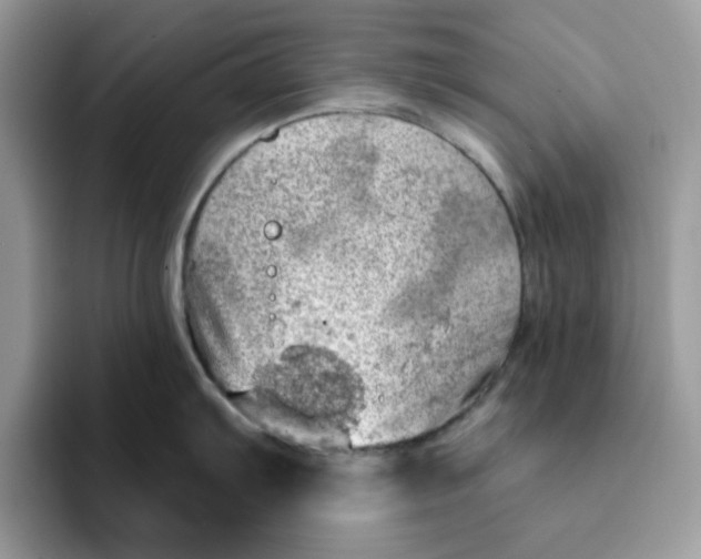 X0000093211103200710171337