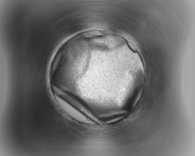 X0000093211104200710171337