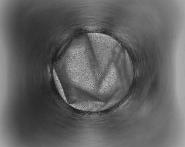 X0000093211106200710171336