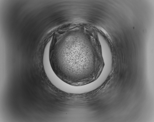 X0000093211112200710171336