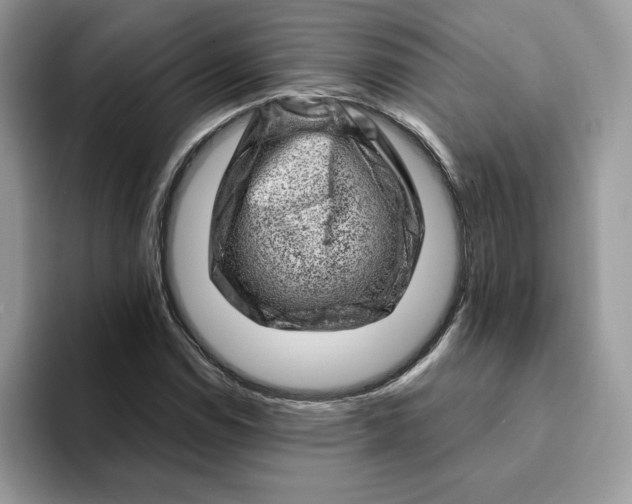 X0000093211114200710171336