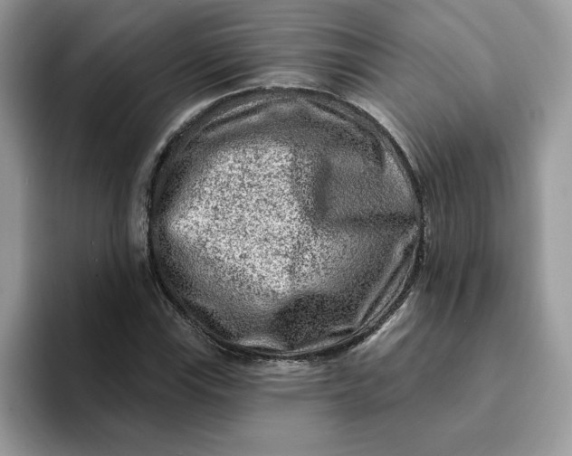 X0000093211115200710171336