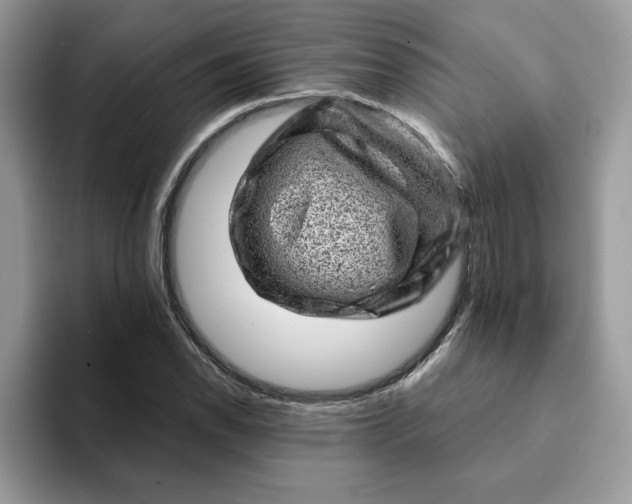 X0000093211118200710171336