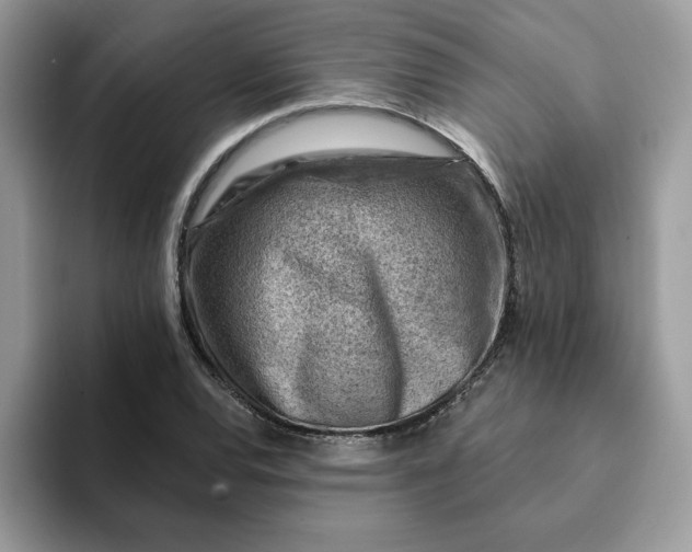 X0000093211120200710171336