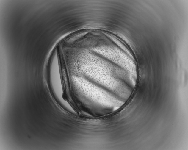 X0000093211123200710171336