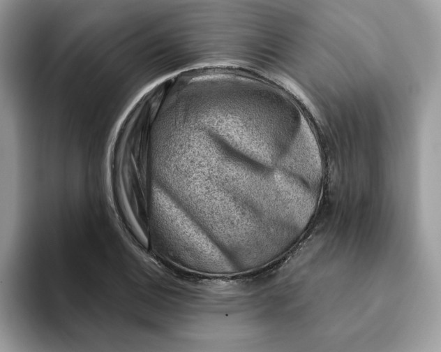 X0000093211124200710171336