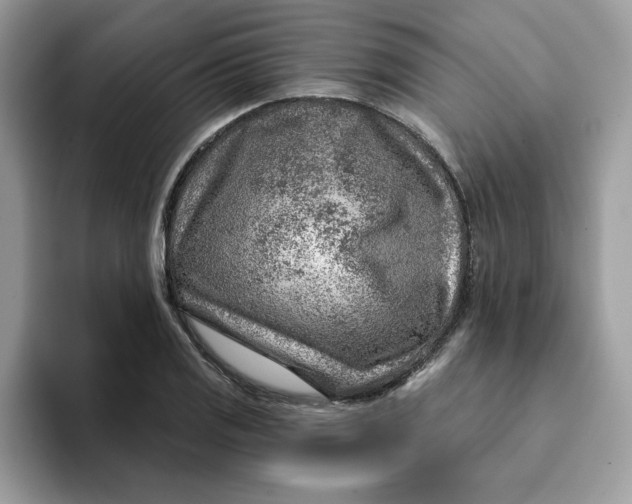 X0000093211125200710171336