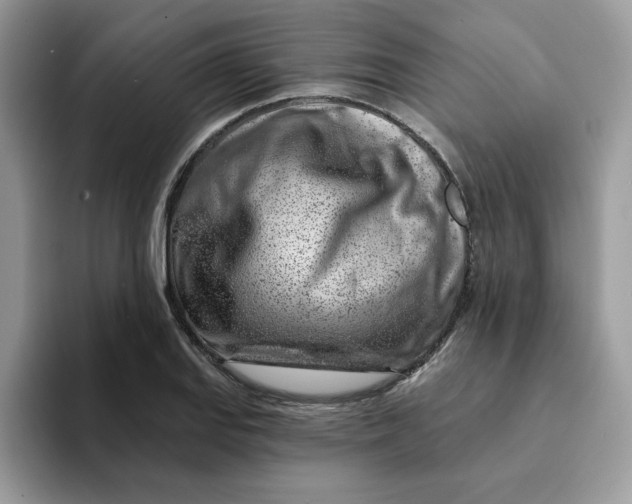 X0000093211127200710171336