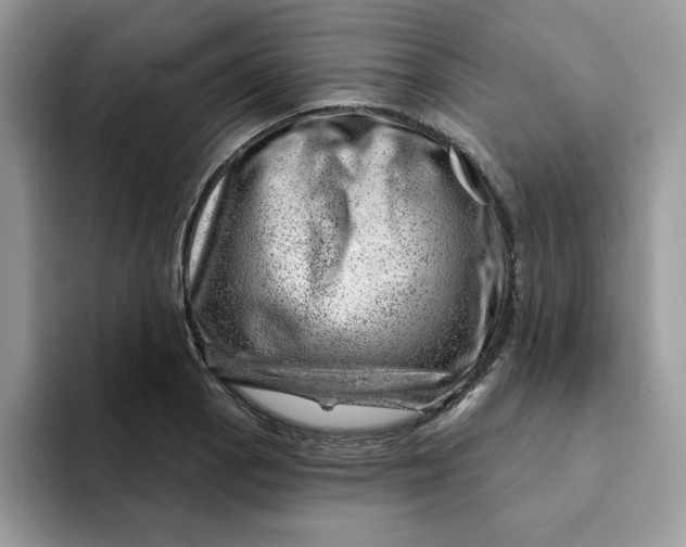 X0000093211129200710171336