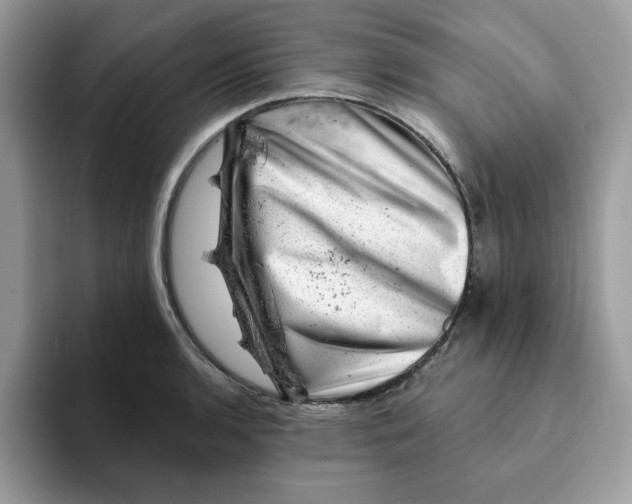 X0000093211136200710171336