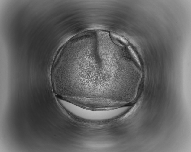 X0000093211137200710171336