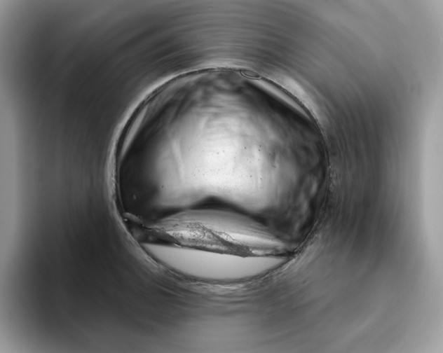 X0000093211140200710171336