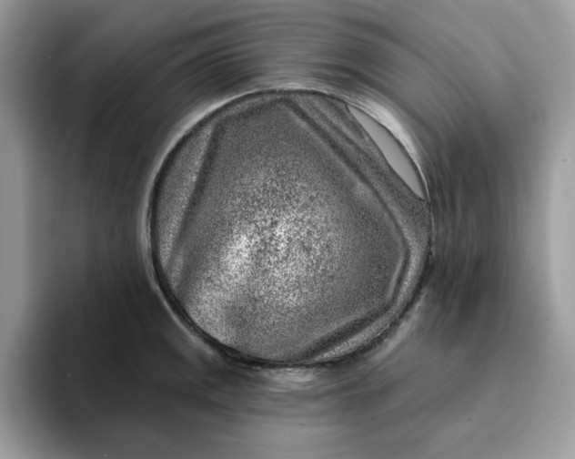 X0000093211141200710171336