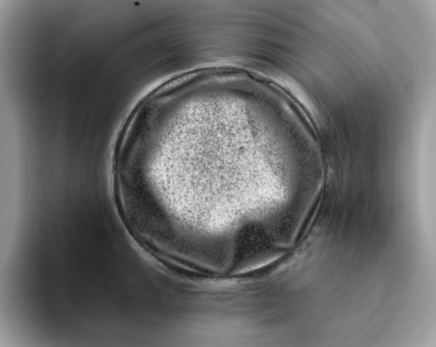 X0000093211143200710171336