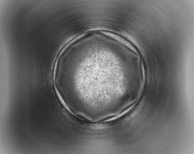 X0000093211145200710171336