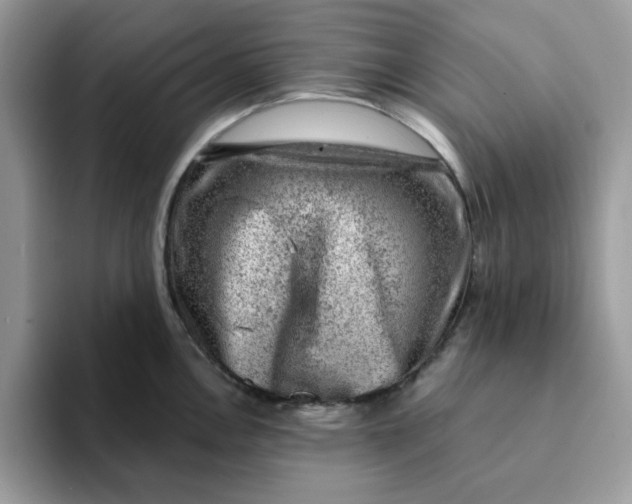 X0000093211146200710171336