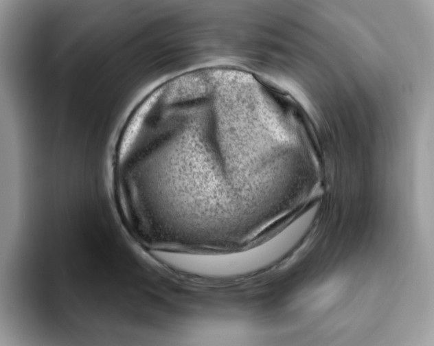 X0000093211151200710171336